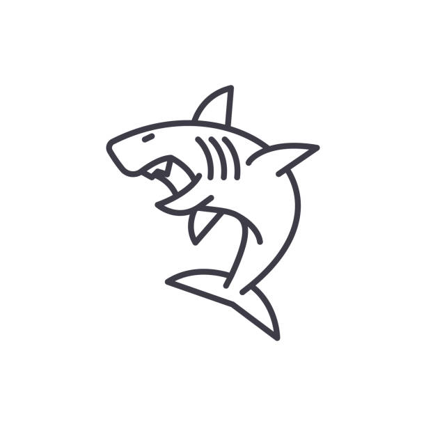 Shark jumping out of water stock illustrations royalty