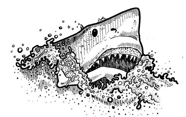 Jumping shark sketch within minutes you will love to draw shark drawing drawing artwork drawings