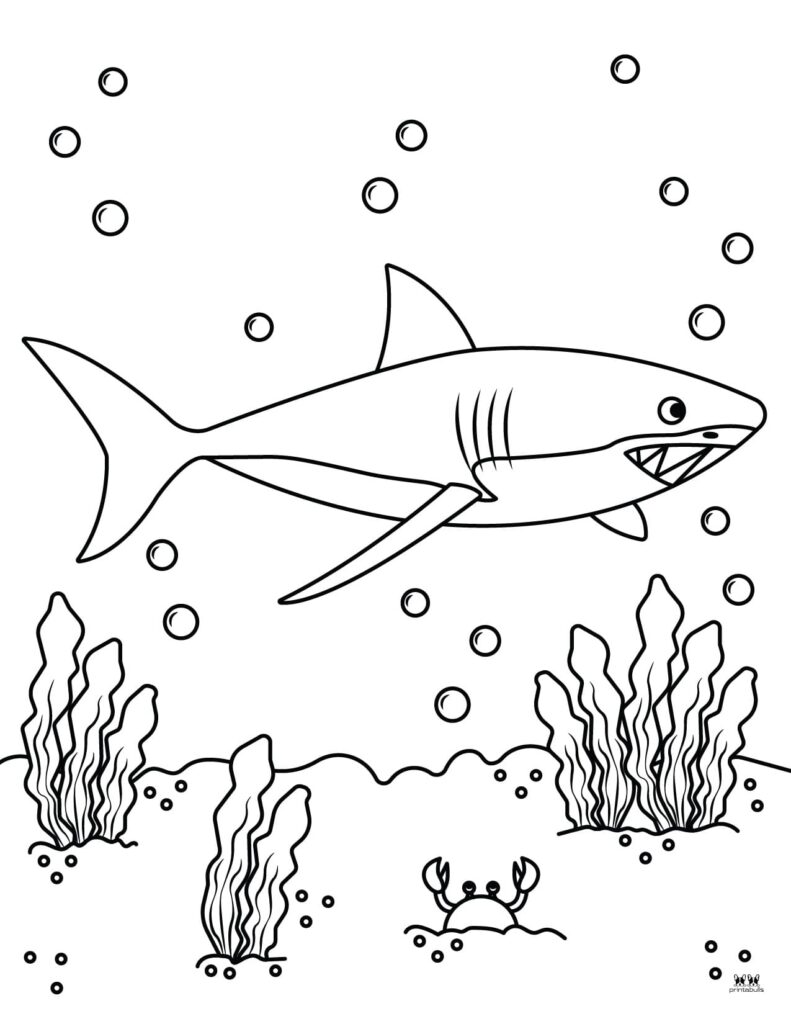 Shark coloring pages