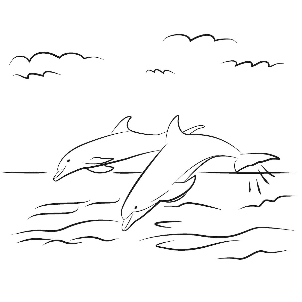 Sea creatures coloring pages fish dolphins sharks other marine life