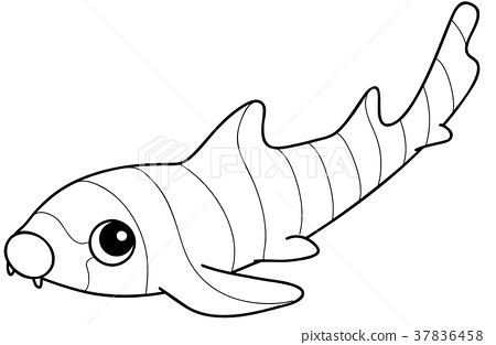 Dog shark chiloscyllium punctatum coloring page