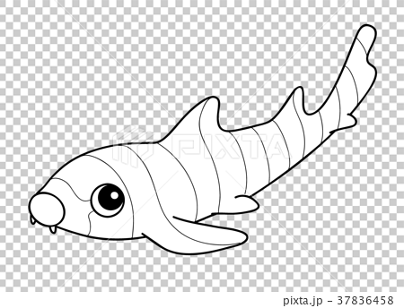 Dog shark chiloscyllium punctatum coloring page