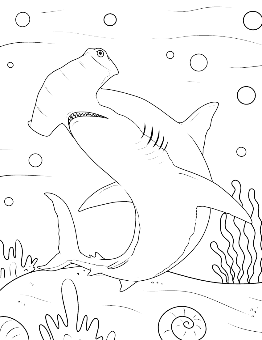 Shark coloring pages