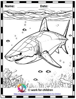 Printable shark coloring pages for kids by work for children tpt