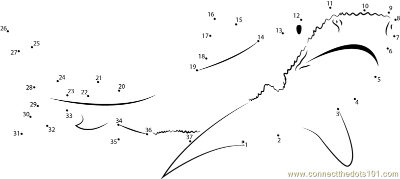 Tiger shark dot to dot printable worksheet