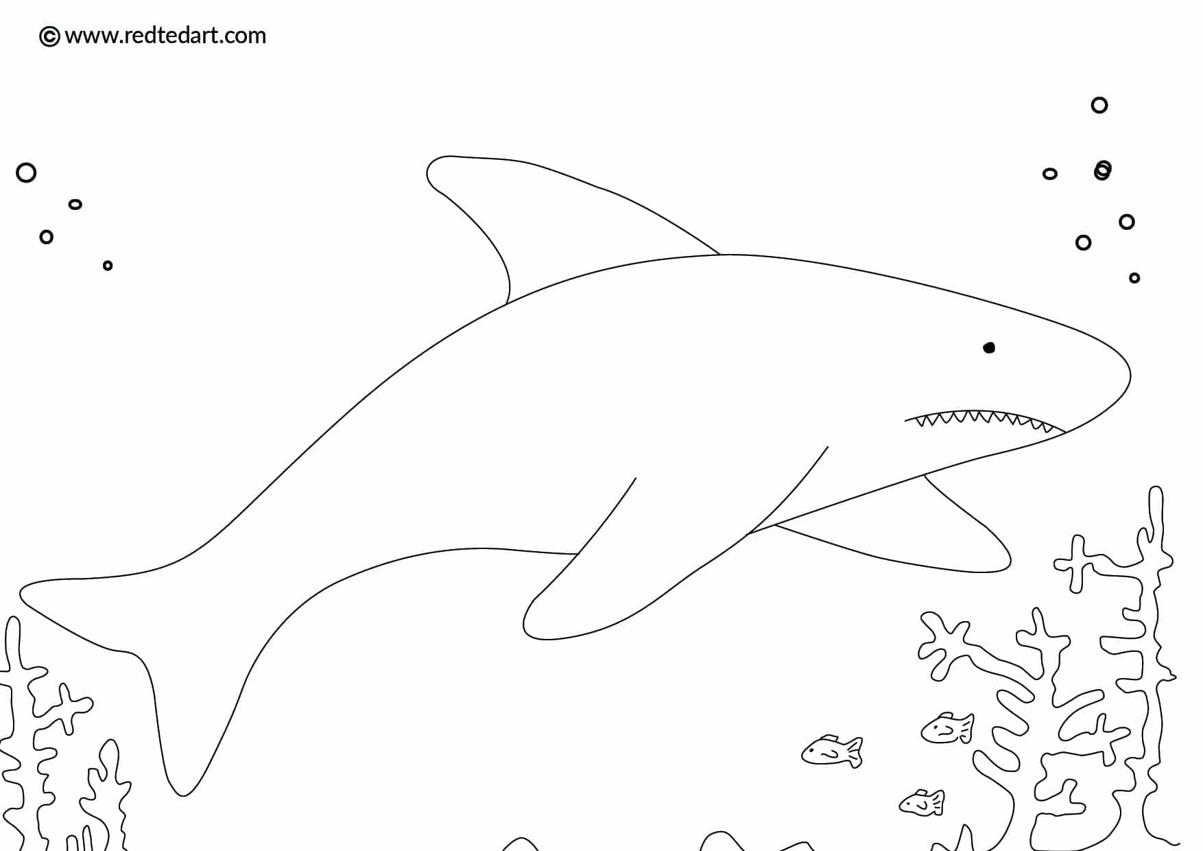 Shark coloring pages for kids