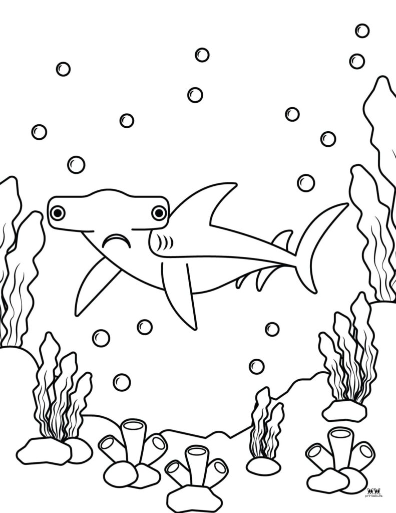 Shark coloring pages