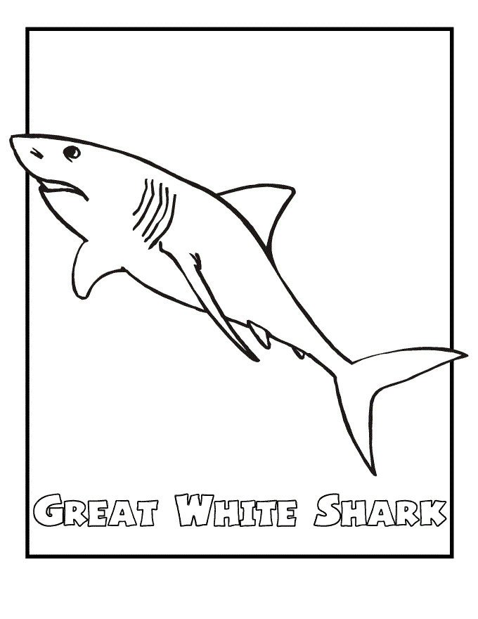 Free printable shark coloring pages for kids