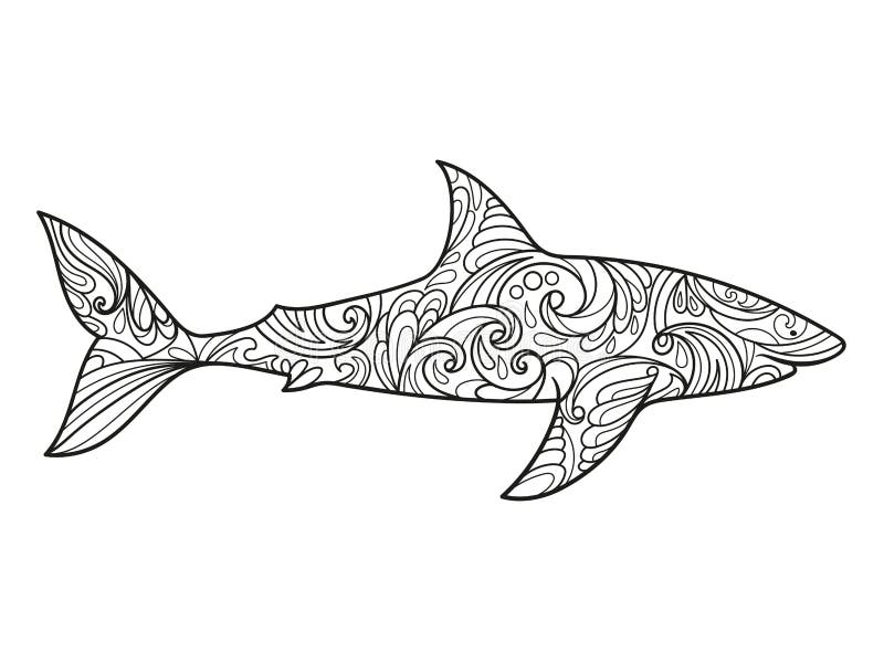 Shark coloring stock illustrations â shark coloring stock illustrations vectors clipart