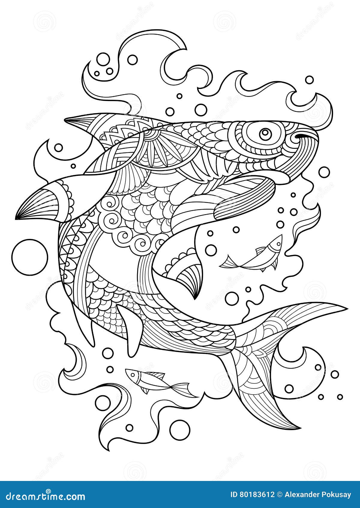 Shark coloring stock illustrations â shark coloring stock illustrations vectors clipart