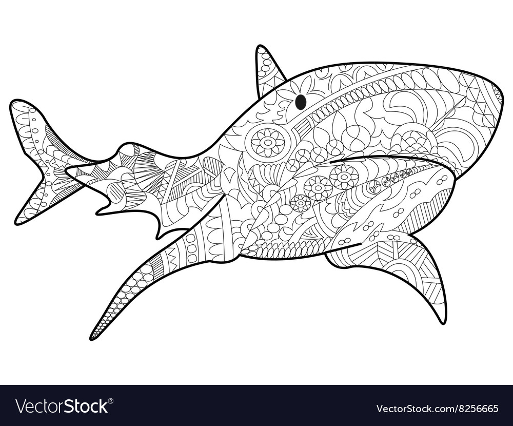 Shark coloring for adults royalty free vector image