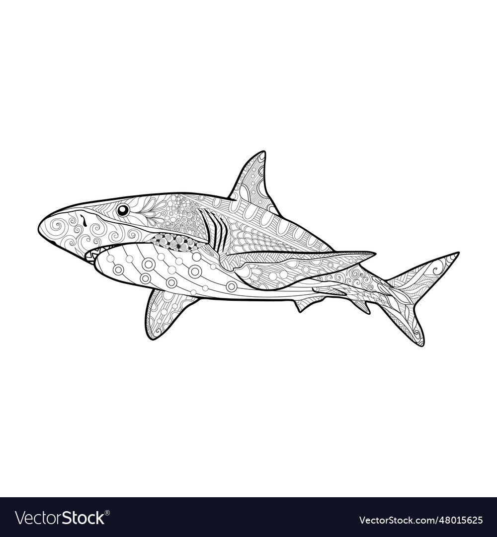 Shark mandala adult coloring page colouring book vector image