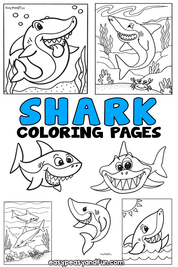 Shark coloring pages