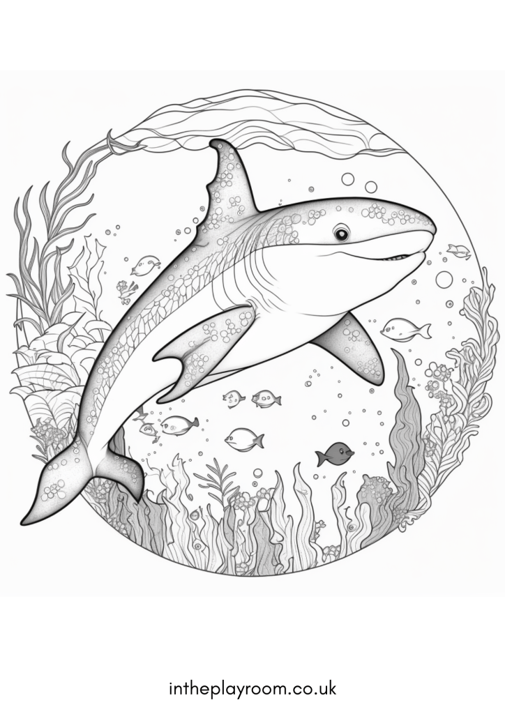 Free printable shark loring pages for kids