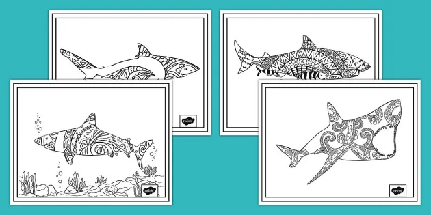 Mindfulness shark coloring pages teacher