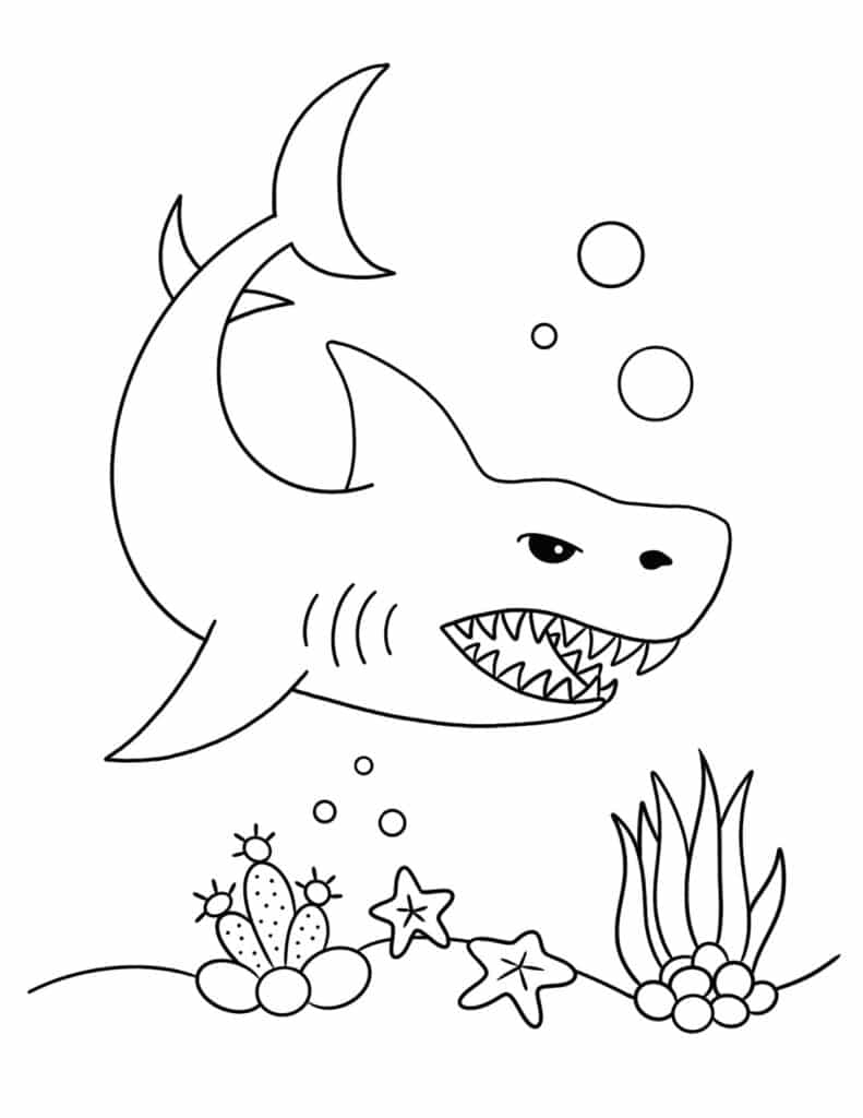 Free shark coloring pages for kids â the hollydog blog