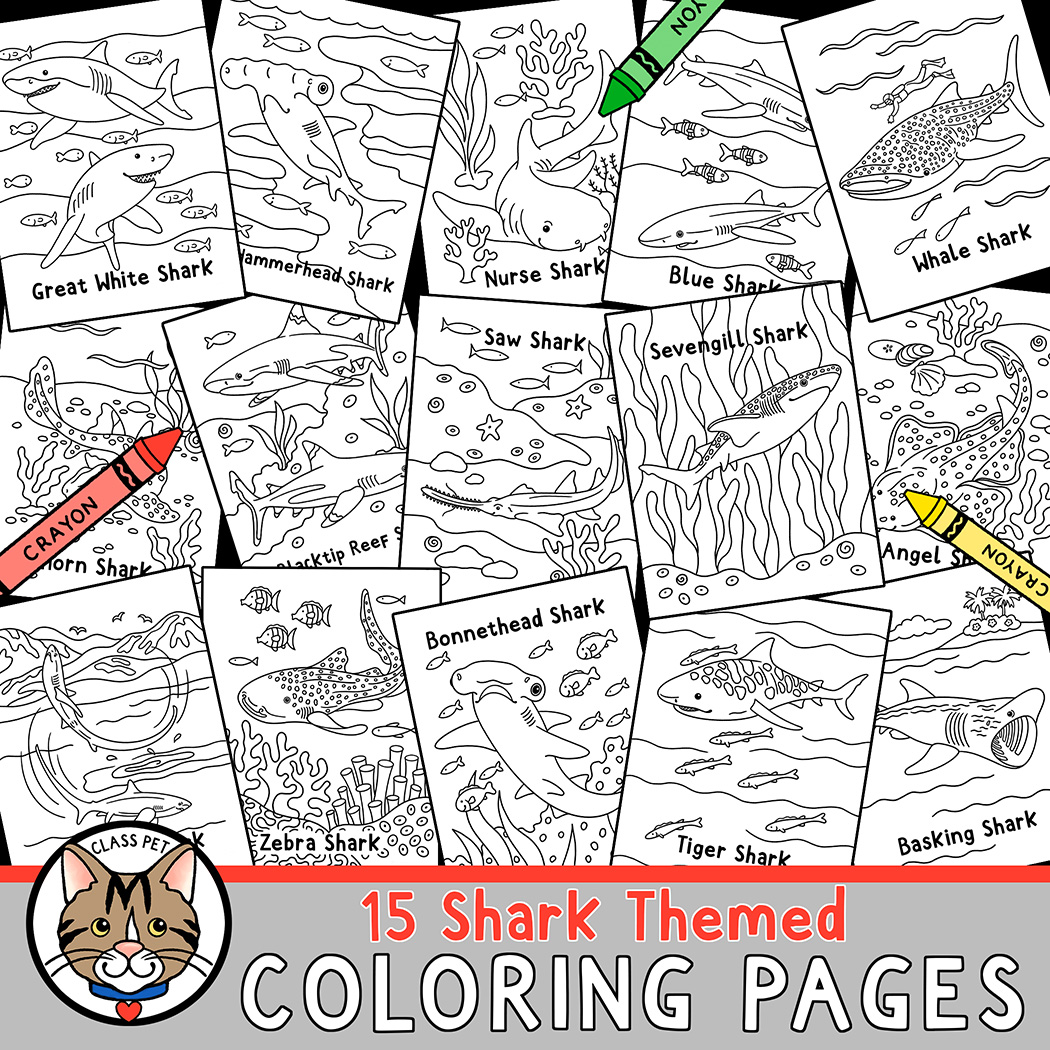 Shark coloring pages made by teachers