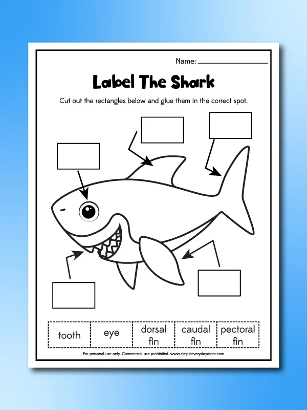 Free printable shark worksheets for kids