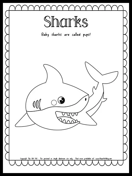 Baby sharks coloring page with fun fact free printable download â the art kit