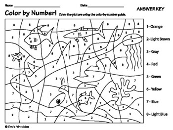 Hammerhead shark color by number activity by tims printables tpt