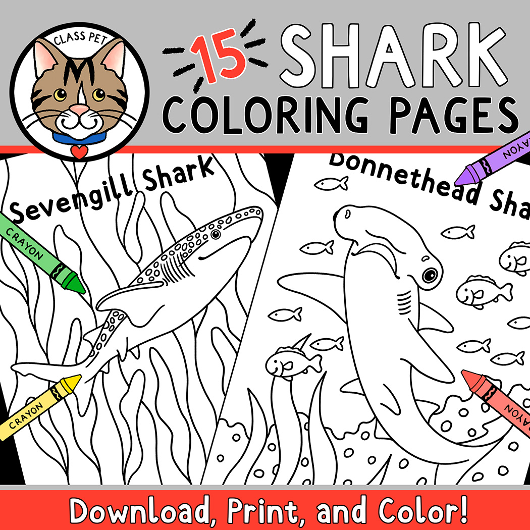 Shark coloring pages made by teachers