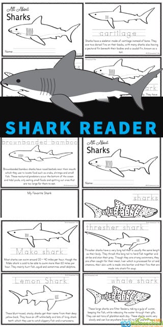 Ð free shark for kids printable reader