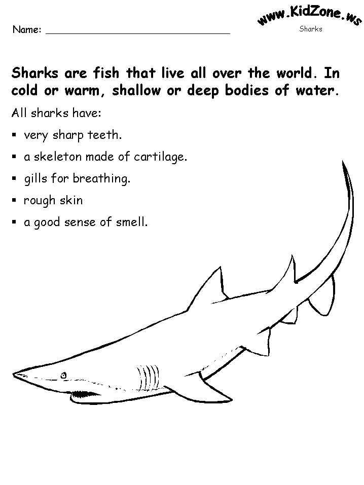 Shark activity sheet