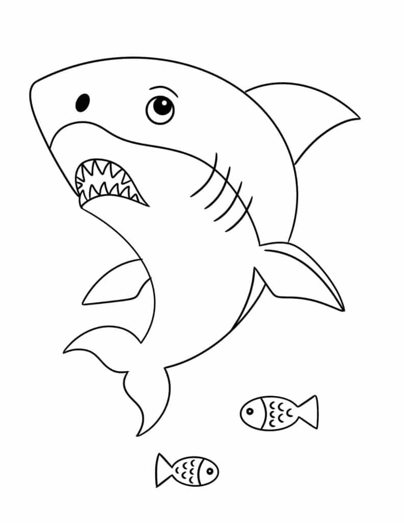 Free shark coloring pages for kids â the hollydog blog