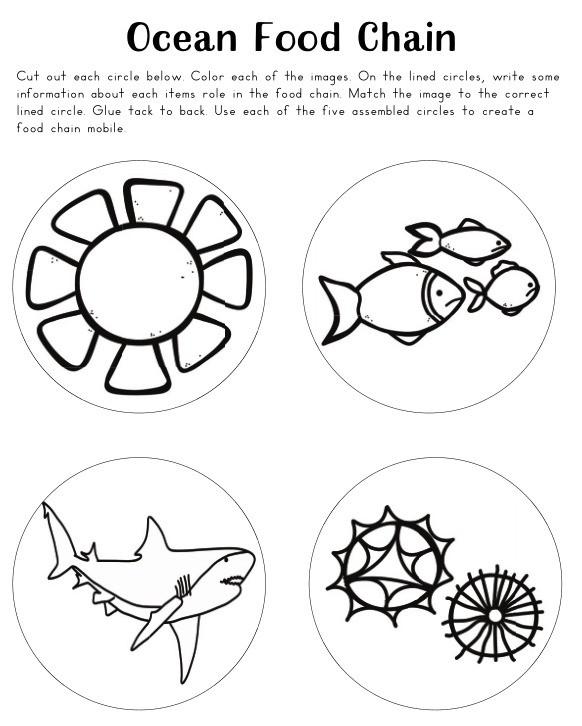 Shark printable activities pack â shop natural beach living