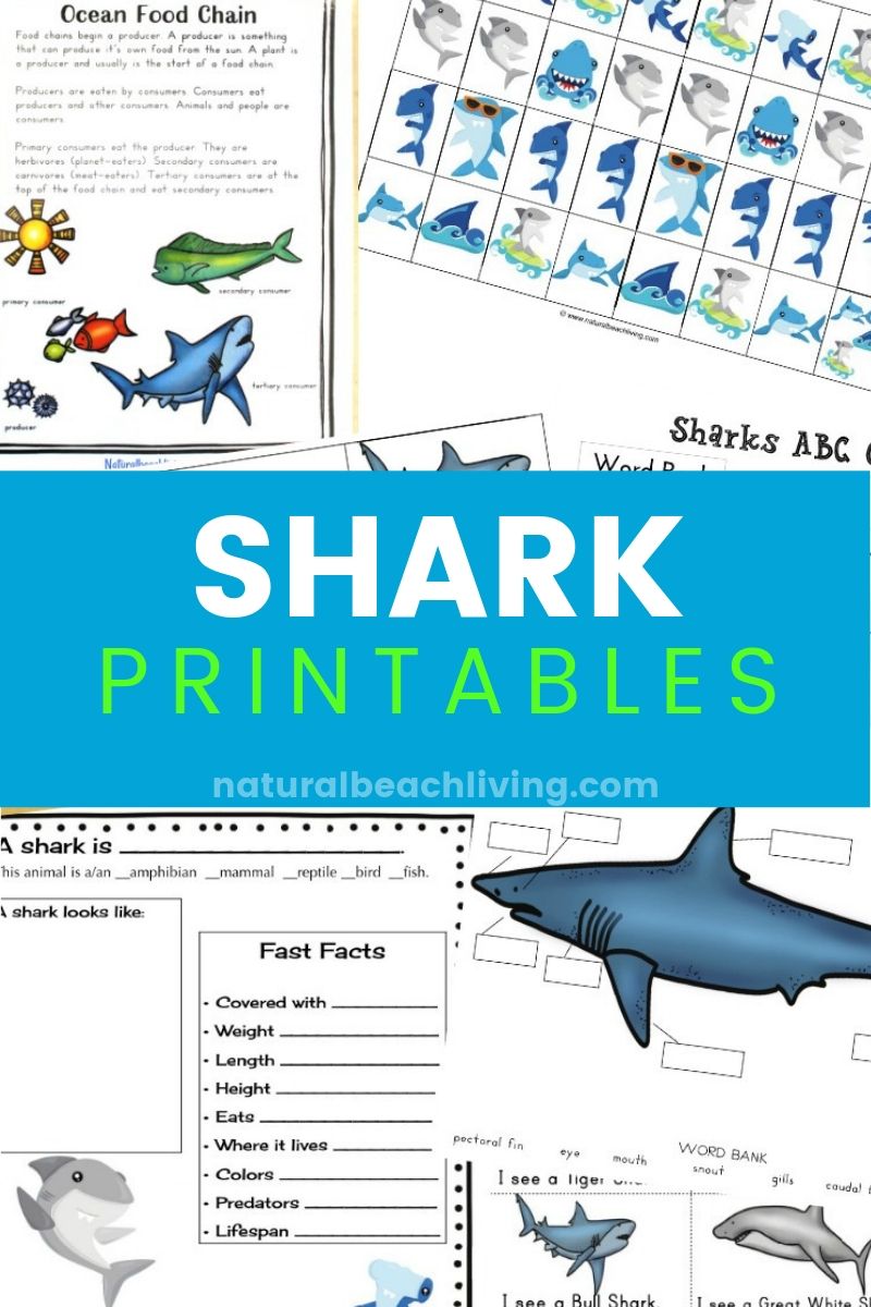 The best shark printable activities for kids