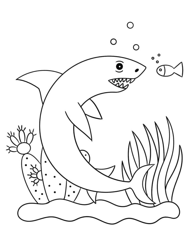 Free shark coloring pages for kids â the hollydog blog