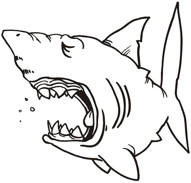 Shark shape s crafts colouring pages