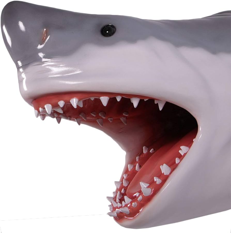 Nautical tropical imports great white shark head large trophy wall sculpture decor inch home kitchen