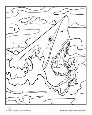 Color the fearsome shark worksheet education shark coloring pages coloring pages shark