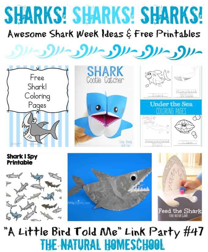 Sharks sharks sharks awesome shark week ideas free printables