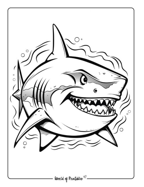 Shark coloring pages for kids adults