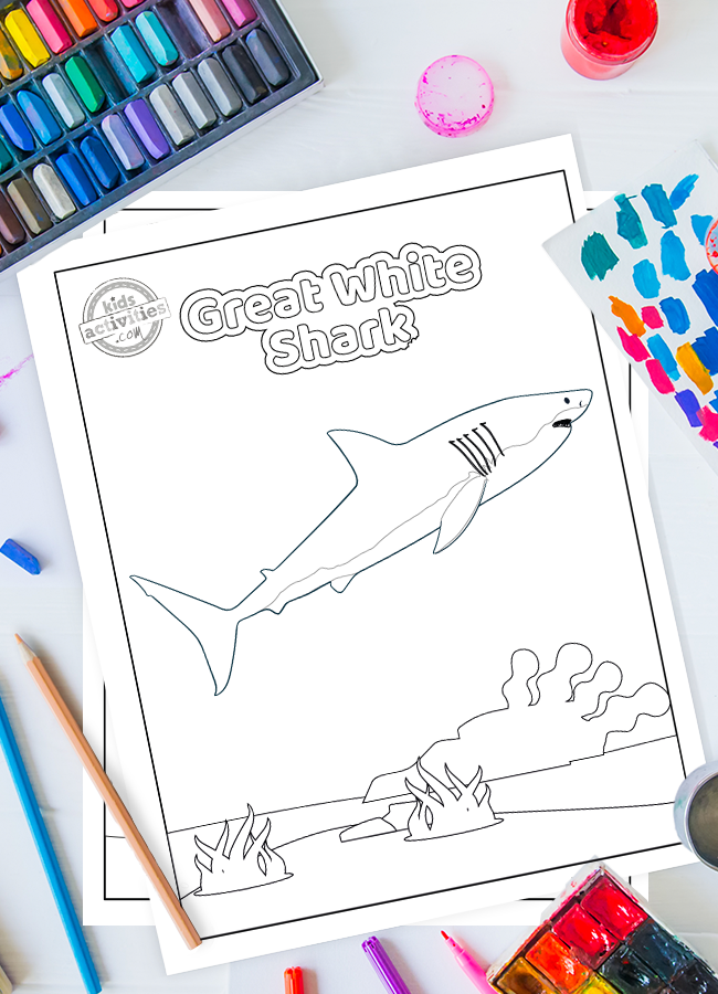 Download the cutest shark week printable pictures to color kids activities blog