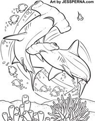 Shark week ideas shark shark week shark coloring pages