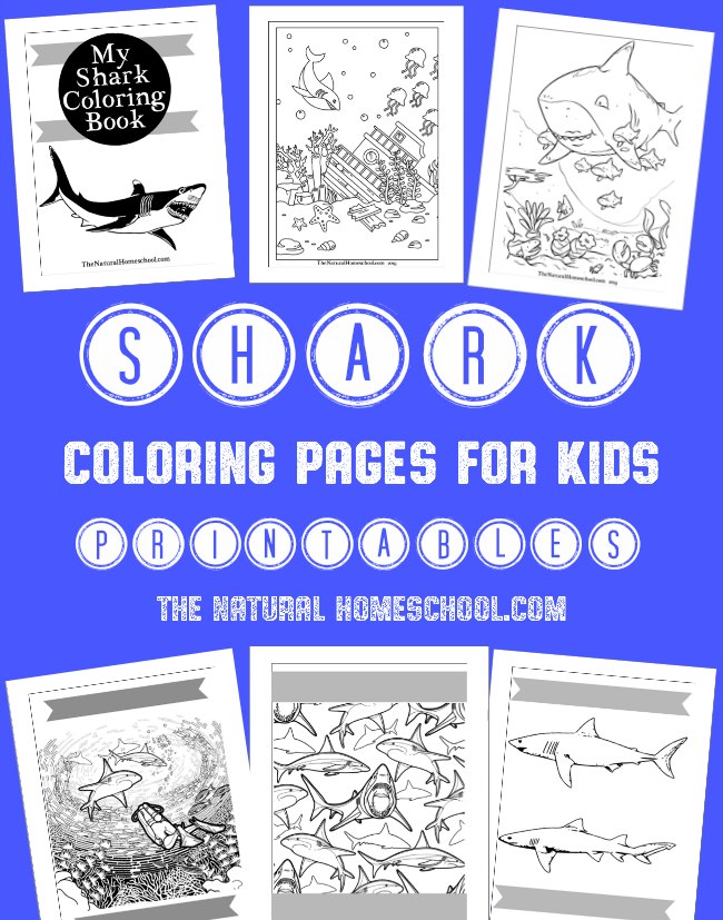 Free shark week coloring book printables