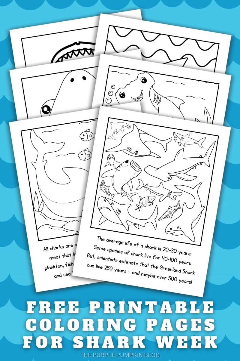 Free printable shark loring pages shark louring pages