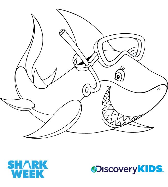 Shark coloring pages shark shark art