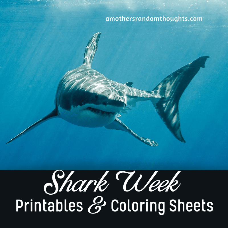 Free shark printables and facts for shark week