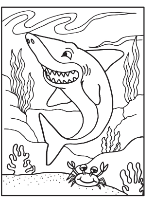 Shark coloring pages