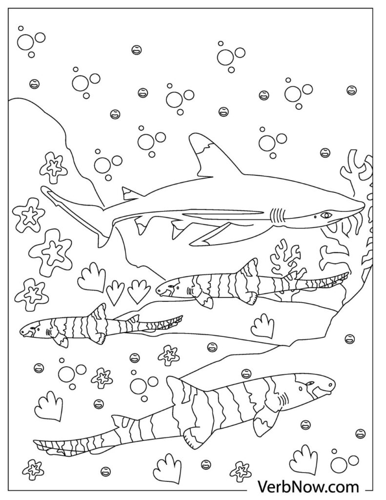 Free sharks coloring pages for download printable pdf