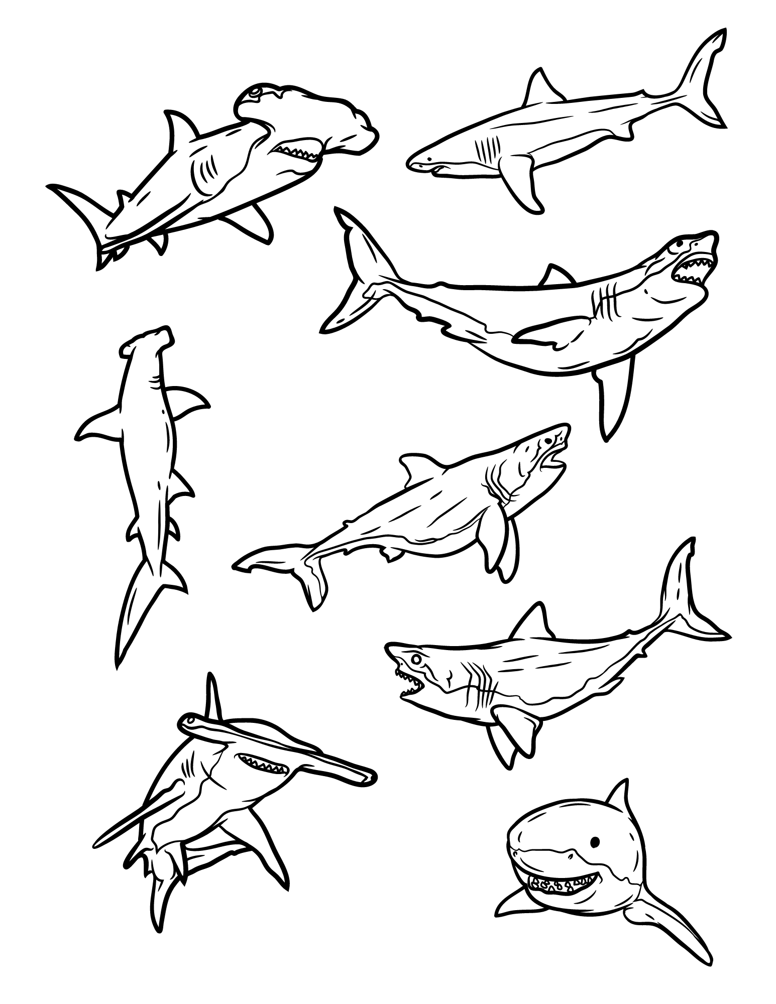 Shark week bundle printable bundle â the letter vee