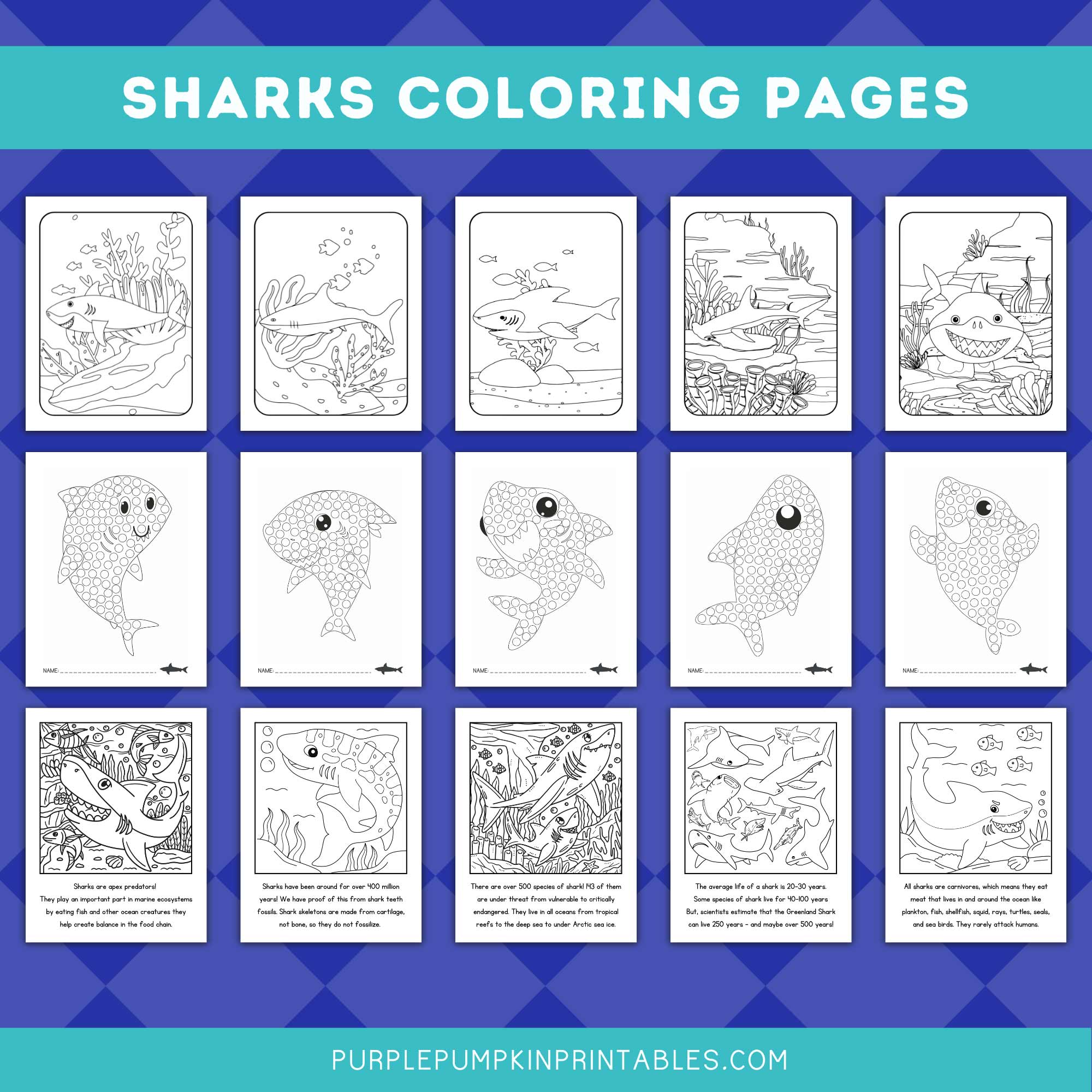 Printable shark week activity pack activities pages