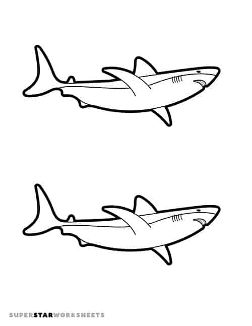 Shark template