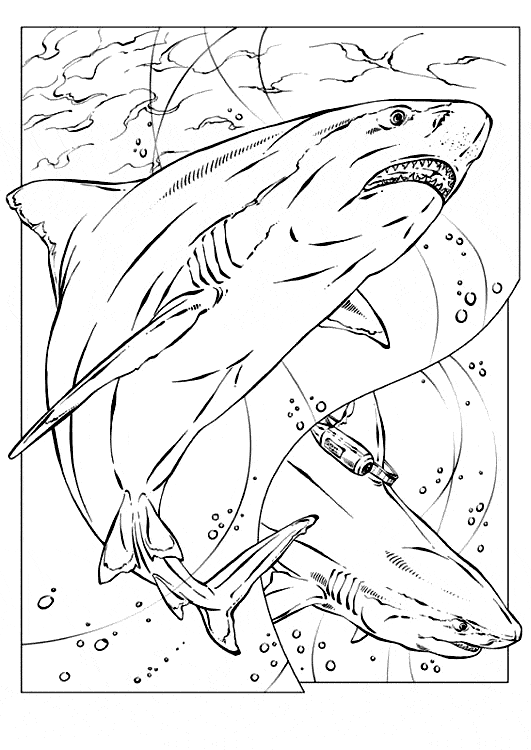 Shark coloring page