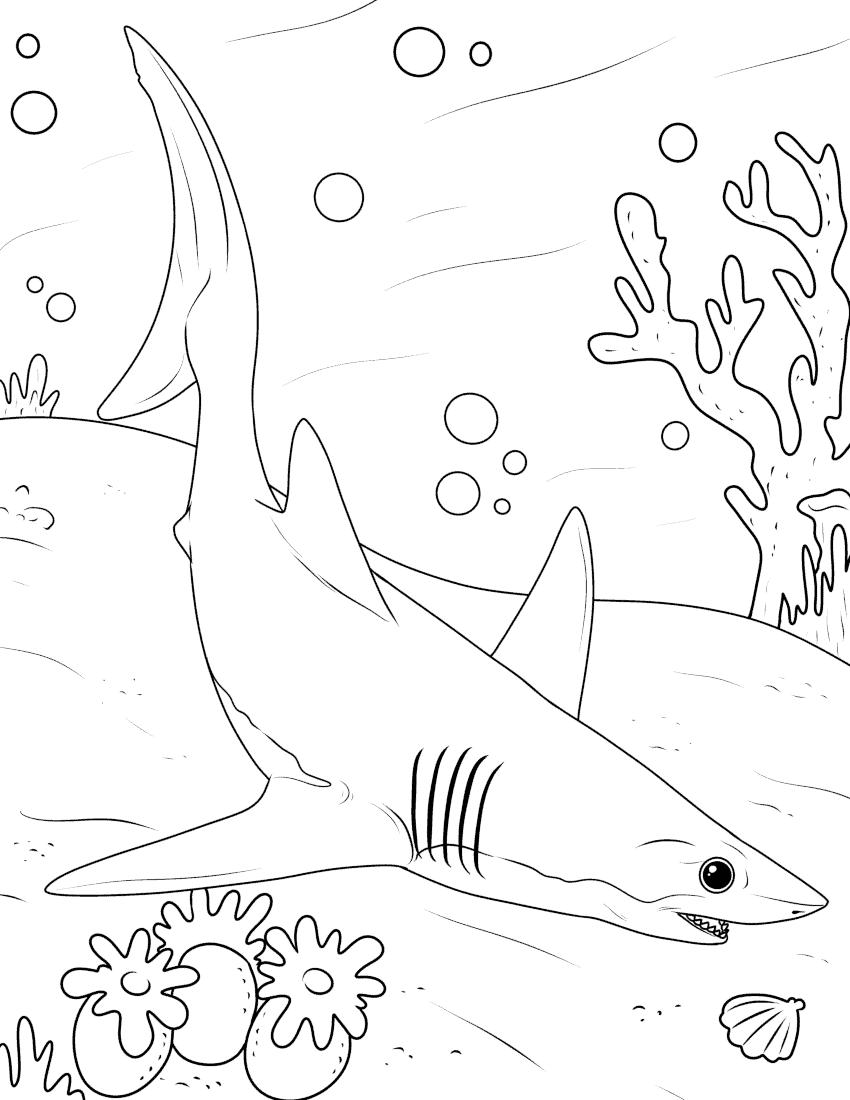 Shark coloring pages