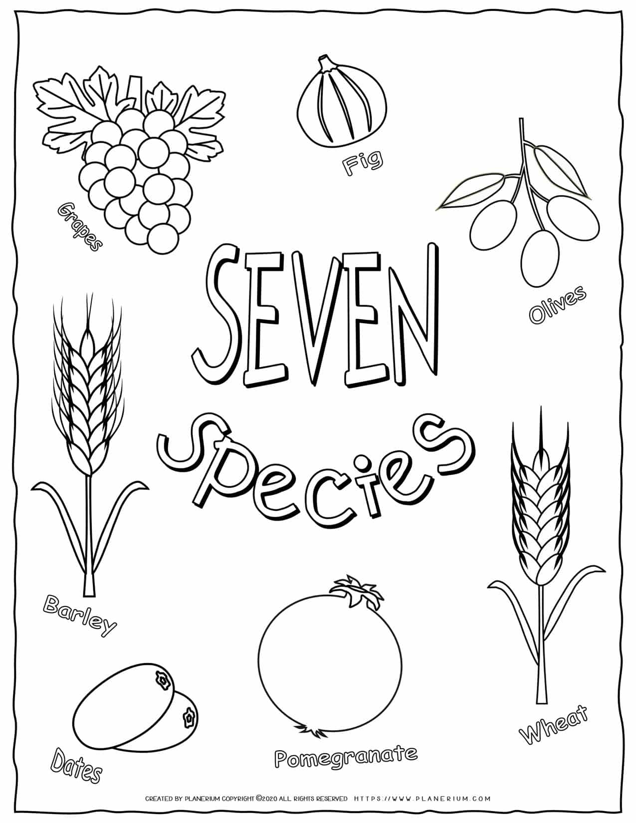 Shavuot coloring page